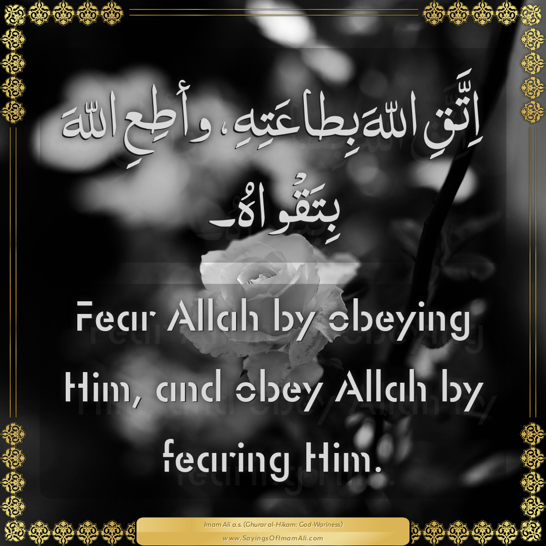 Fear Allah by obeying Him, and obey Allah by fearing Him.
